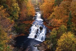 Falls of Clyde