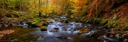 Birks of Aberfeldy