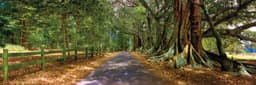 Hundred Acres